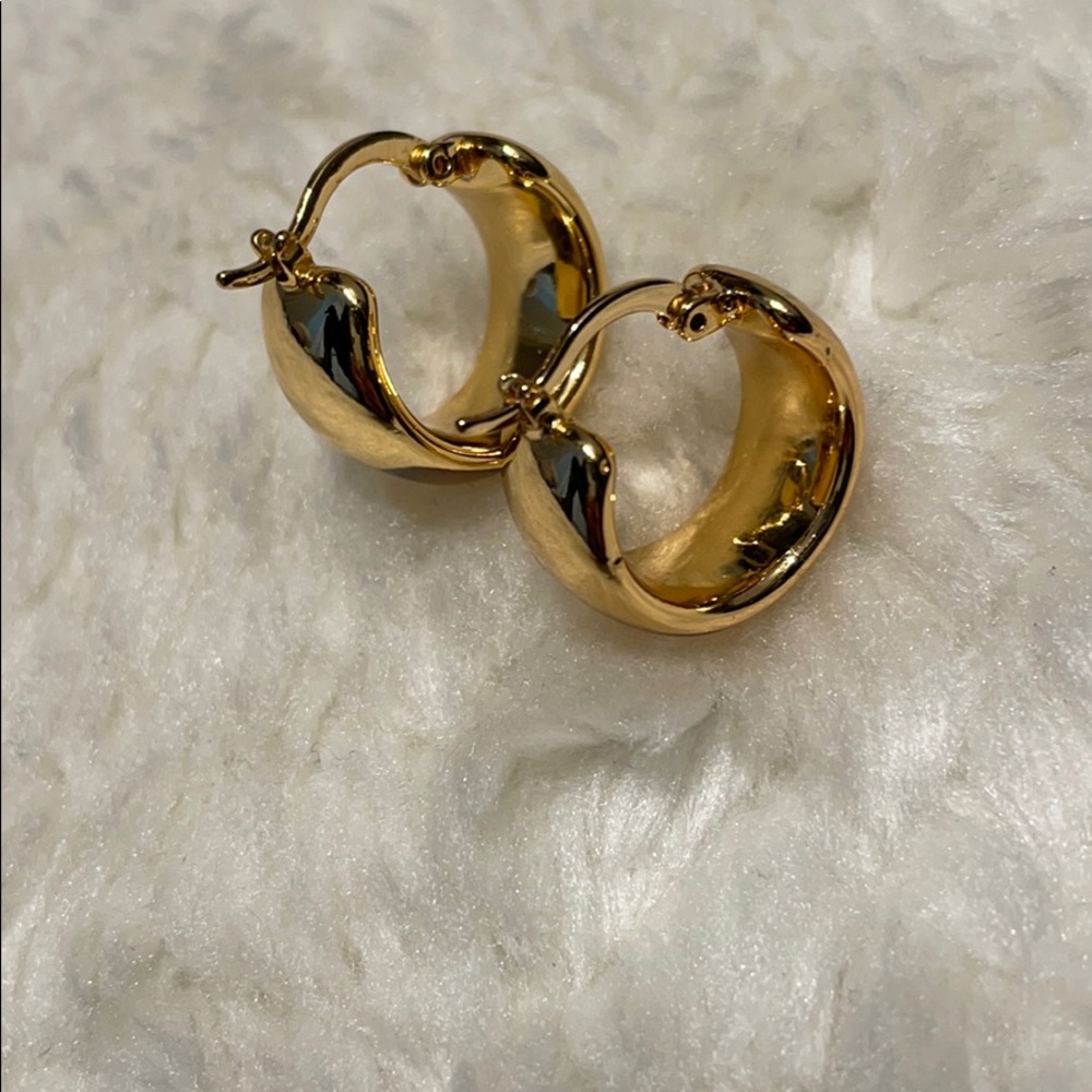 🔥Earrings from club monaco